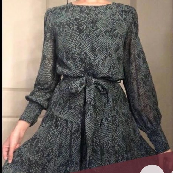 Dynamite snakeskin print dress - Picture 5 of 6